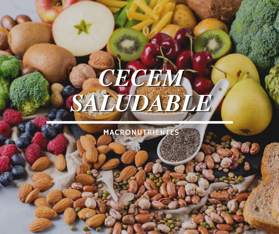 CECEM SALUDABLE