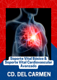 BLS, ACLS o PAQUETE 17, 23 y 24 de Noviembre en Cd. del Carmen, Campeche