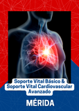 BLS, ACLS o PAQUETE 18 y 19 de Enero en Mérida, Yucatán