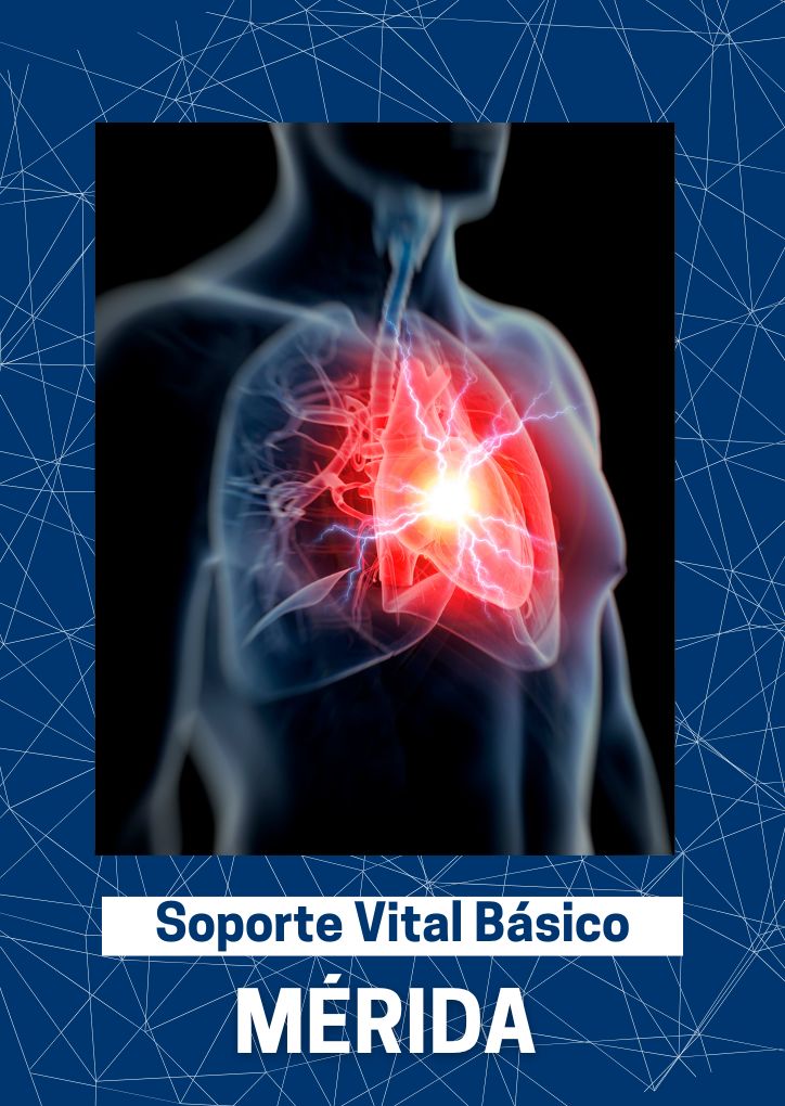 BLS 01 de Febrero en Mérida, Yucatán